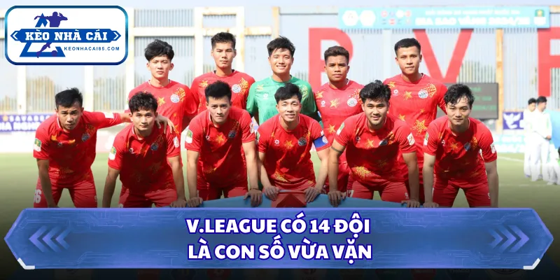 V.League có 14 đội là con số vừa vặn